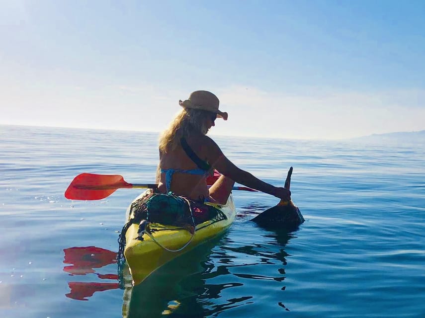 La Herradura: Kayak Tour in Cerro Gordo Natural Park - Why Cerro Gordo works so well from a kayak