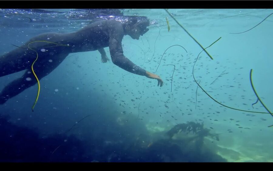 La Jolla: 2.5-Hour Kayak and Snorkel Tour - Practical Details Before You Go
