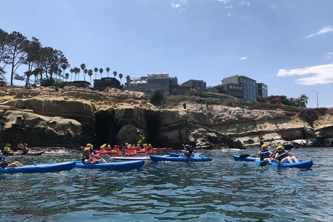 La Jolla Sea Caves Kayak Tour For Two (Tandem Kayak) - The wildlife you might see