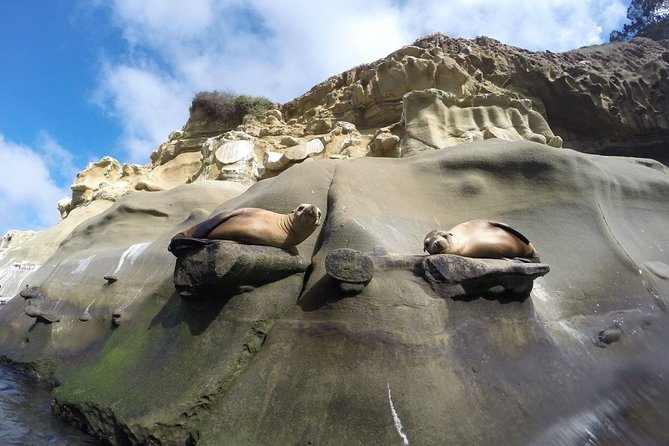 La Jolla Sea Caves Kayak Tour For Two (Tandem Kayak) - Sea caves, kelp beds, and the safety call