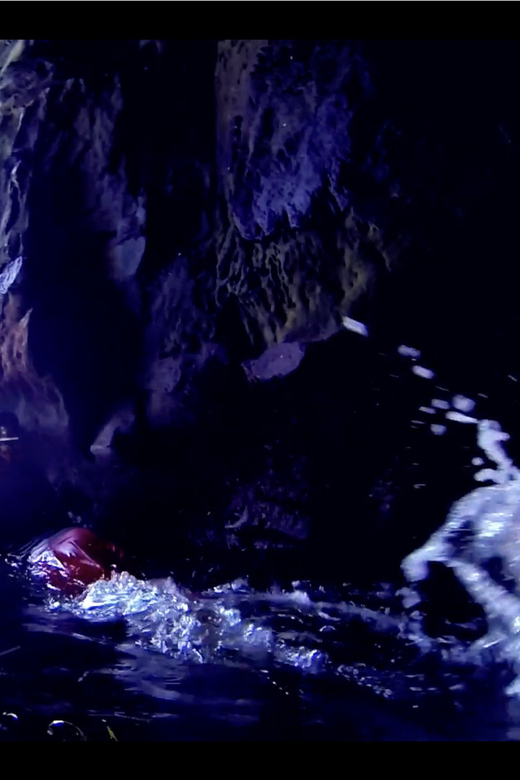 La Jolla: Sunset Kayak Tour of the 7 Caves - Three Habitats Along the La Jolla Ecological Reserve