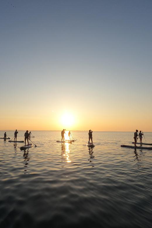 Lagos: Guided SUP Tour to Ponta da Piedade Caves - Price, Group Size, and Overall Value