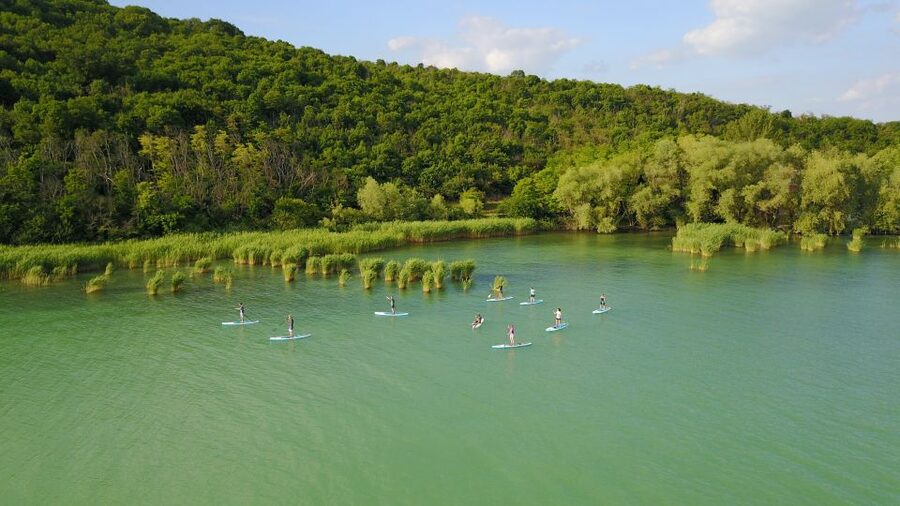 Lake Balaton: Paddle Board Tour of Tihany National Park - Paddling through Tihany National Park
