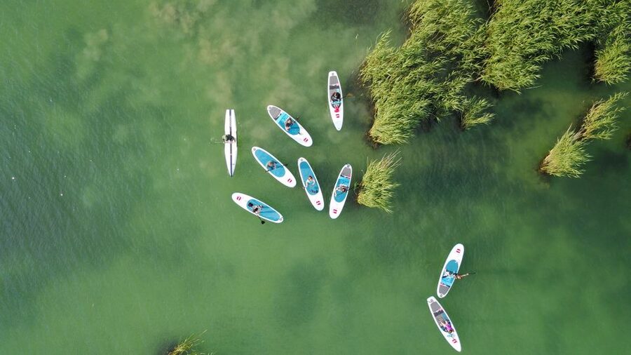 Lake Balaton: Paddle Board Tour of Tihany National Park - Timing, languages, and practical planning
