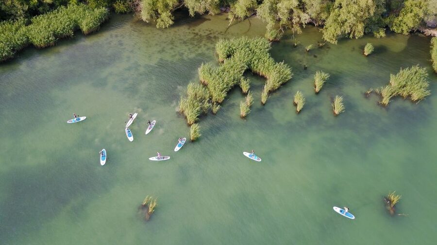 Lake Balaton: Paddle Board Tour of Tihany National Park - Choosing the right board and gear