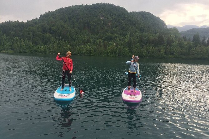 Lake Bled Stand-Up Paddle Boarding Lesson and Tour - How the $80.24 price measures up