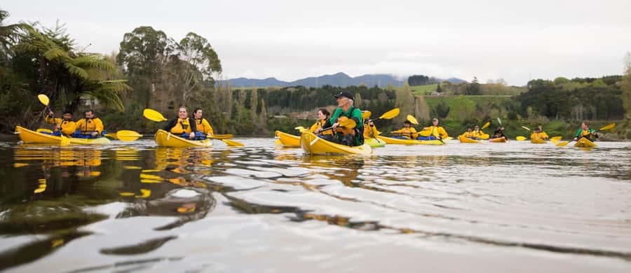 Lake Karapiro: Evening Kayak Glowworm Tour - Key points to know before booking