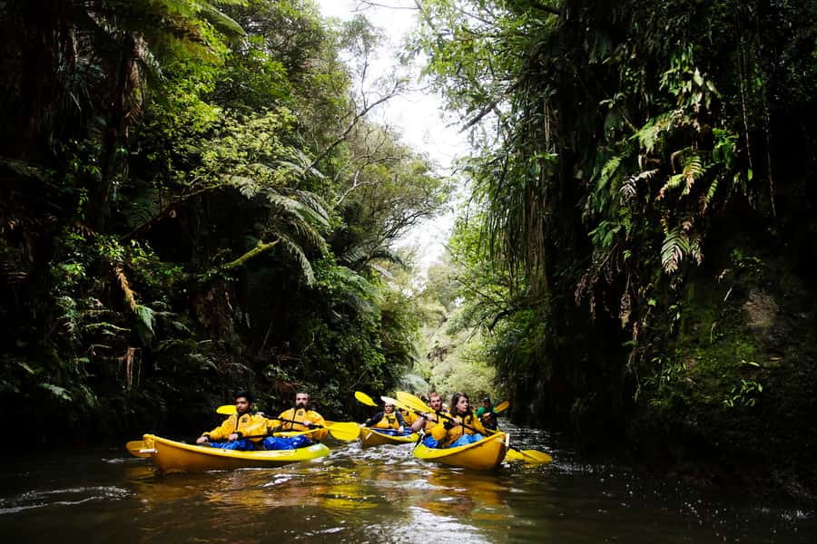 Lake Karapiro: Evening Kayak Glowworm Tour - Waiting for dusk beside the stream