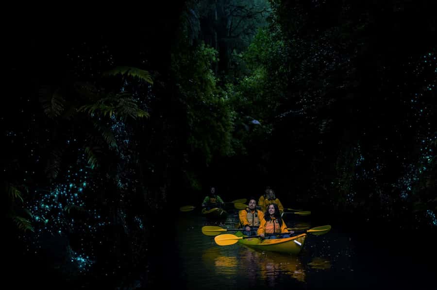 Lake Karapiro: Evening Kayak Glowworm Tour - Drifting beneath the glowworms