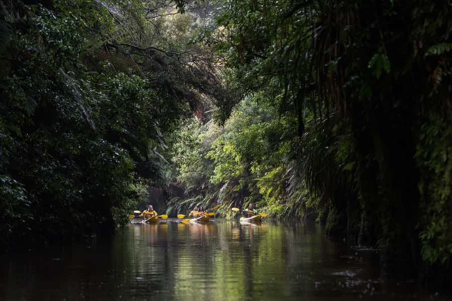 Lake Karapiro: Evening Kayak Glowworm Tour - The dark return across the water