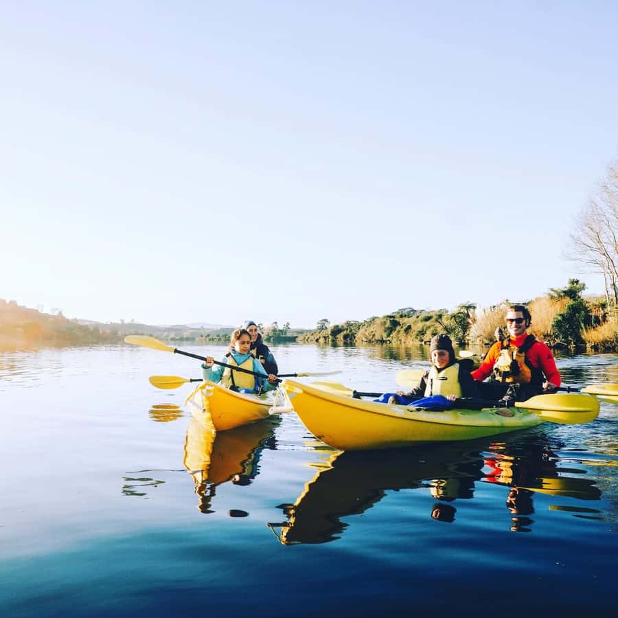 Lake Karapiro: Evening Kayak Glowworm Tour - Is the Lake Karapiro glowworm tour worth booking?