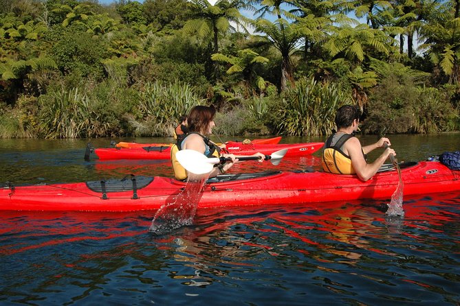Lake Rotoiti Evening Kayak Tour including Hot Springs, Glowworm Caves and BBQ Dinner - Sunset, stars, and the paddle back