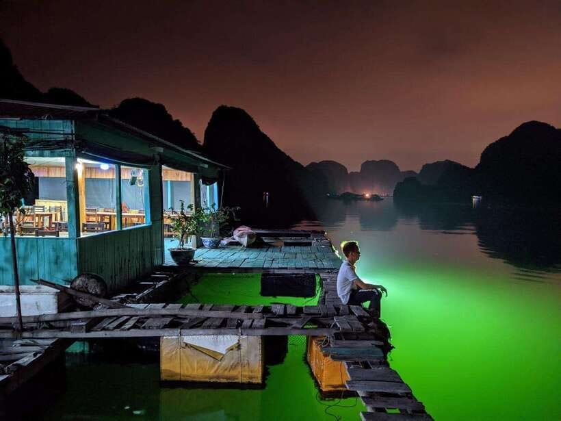 Lan Ha Bay: Bioluminescent Plankton Kayak Tour from Beo Pier - What the glowing water actually looks like