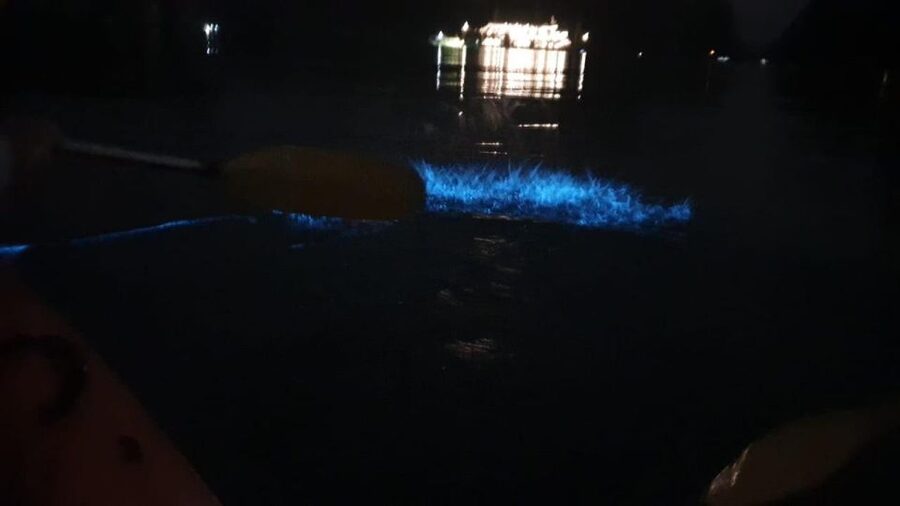 Lan Ha Bay: Sunset & Plankton Bioluminescent Night Kayaking - Paddling into Lan Ha Bay after dark