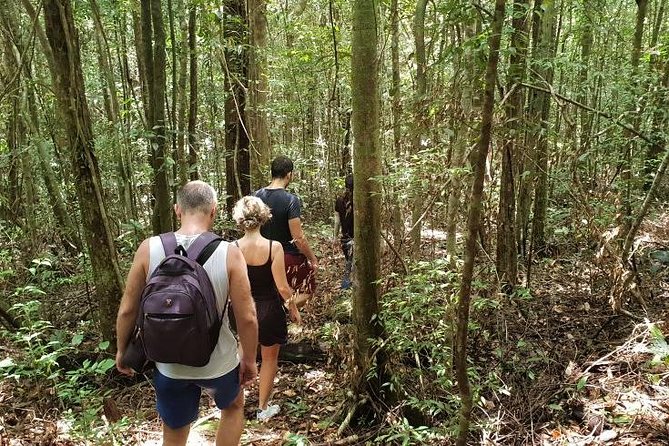 Land Tour 2: Discover the North - Kayaking & Starfish beach Phu Quoc (Not Lunch) - Starfish Beach: beautiful, fragile, and not guaranteed