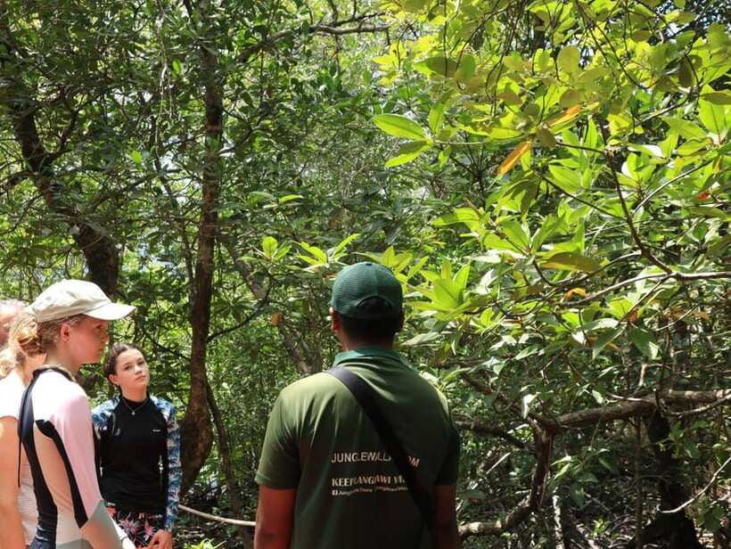 Langkawi: Kayaking Adventure and Swimming - Swimming at Jemuruk Island