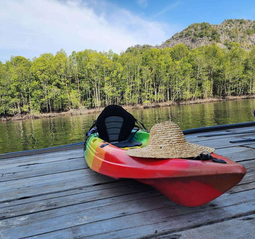 Langkawi : Kilim Geoforest Mangrove Kayak Tour with Lunch - Paddling into the narrow mangrove channels