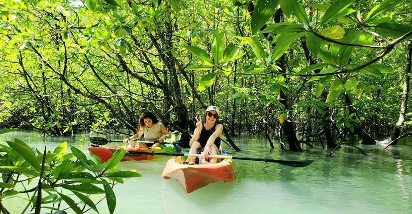 Langkawi : Kilim Geoforest Mangrove Kayak Tour with Lunch - Eagle watching without animal feeding