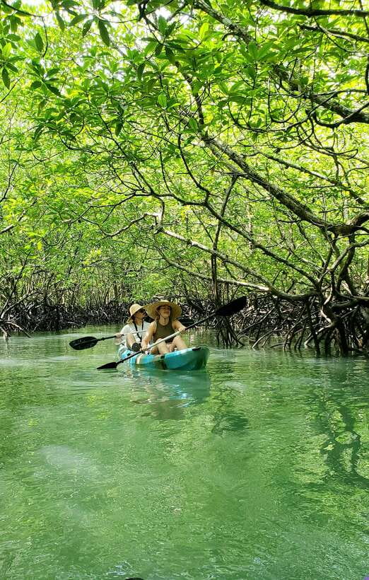 Langkawi : Kilim Geoforest Mangrove Kayak Tour with Lunch - What the $59 price includes
