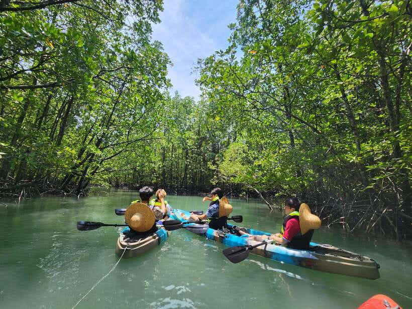 Langkawi : Kilim Mangrove Boat & Fun Kayak Tour with Lunch - The boat ride through Kilim’s mangroves