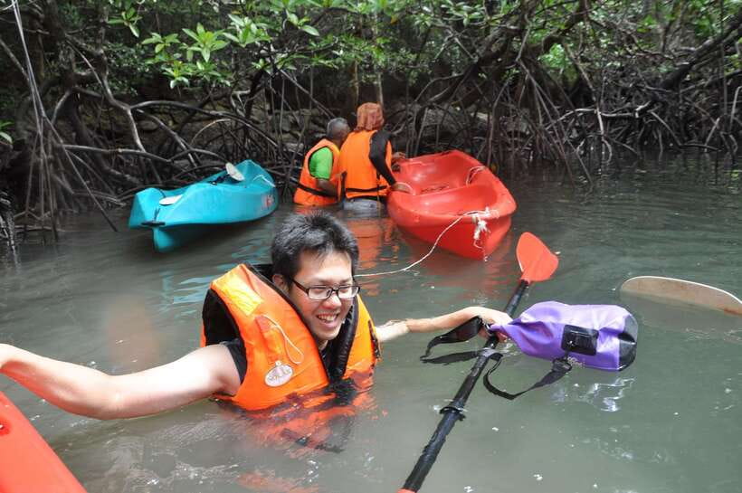 Langkawi: Kilim River Mangrove Safari Kayaking Tour - Guides who make the difference