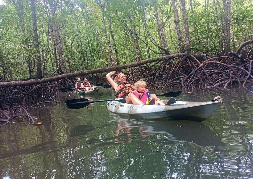 Langkawi: Kilim River Mangrove Safari Kayaking Tour - Transport, timing, and meeting details