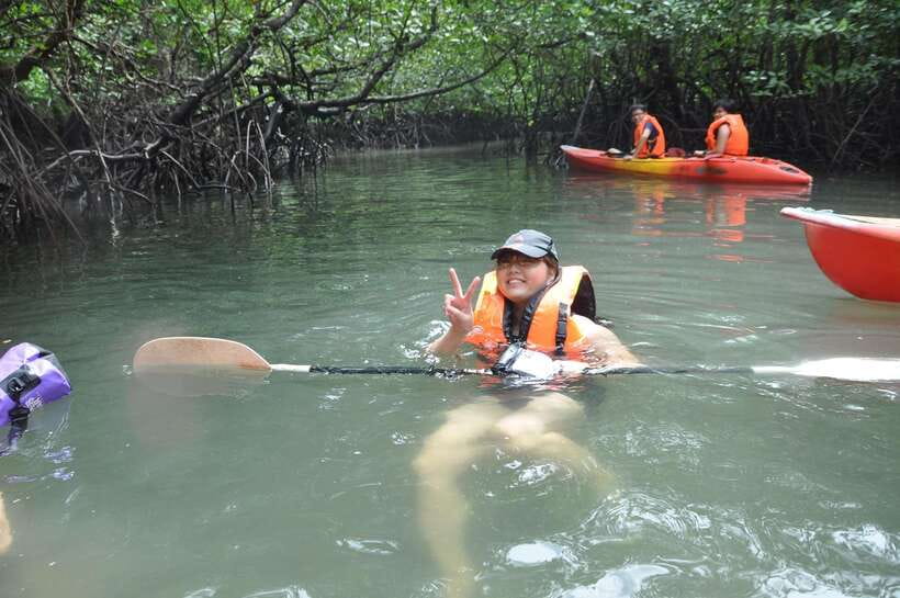 Langkawi: Kilim River Mangrove Safari Kayaking Tour - What the $71 price includes
