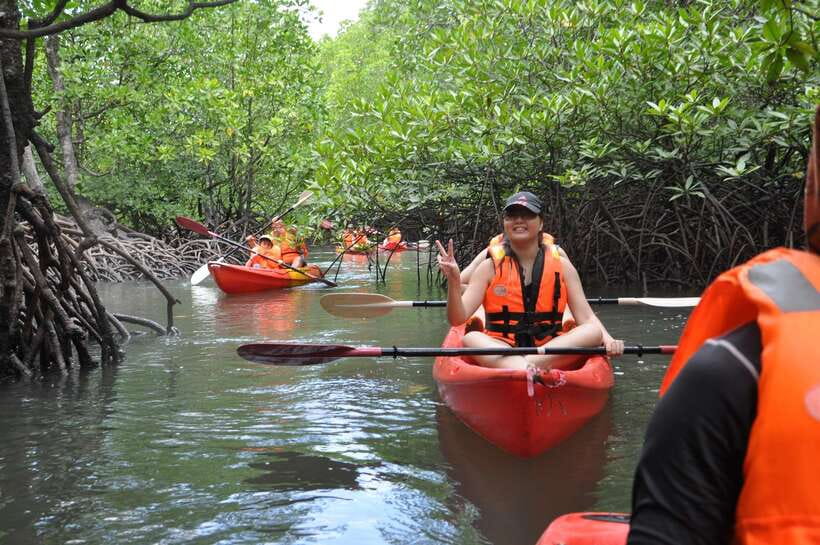 Langkawi: Kilim River Mangrove Safari Kayaking Tour - Who should book this experience