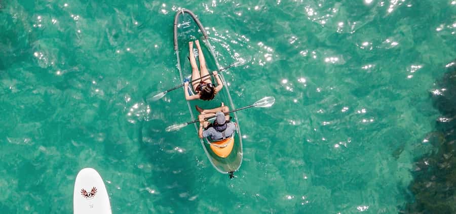 Leigh: Goat Island Clear Kayak Rental - What the clear kayak actually adds