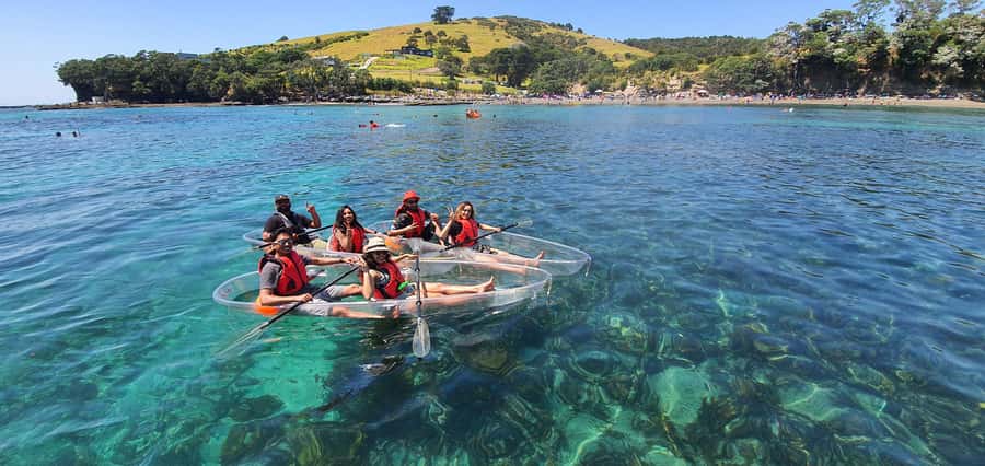 Leigh: Goat Island Clear Kayak Rental - Fish, rays, and the view beside the hull