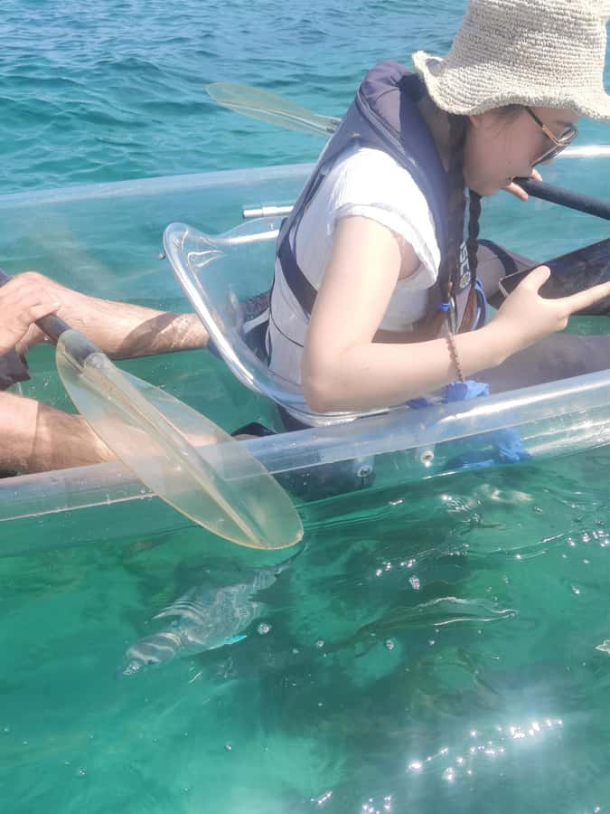 Leigh: Goat Island Clear Kayak Rental - Price and the question of value