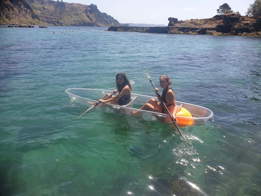 Leigh: Goat Island Clear Kayak Rental - How to decide if the clear hull is worth it