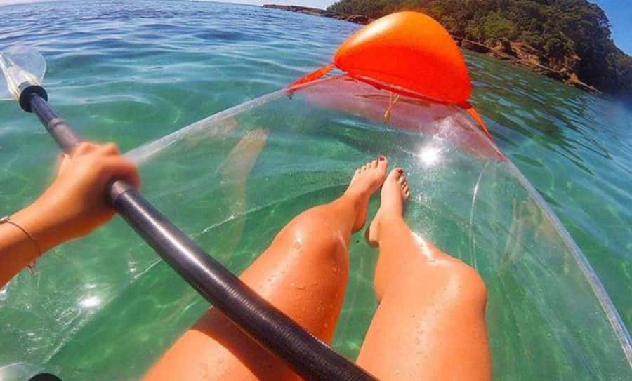 Leigh: Goat Island Clear Kayak Rental - The first paddle into the marine reserve