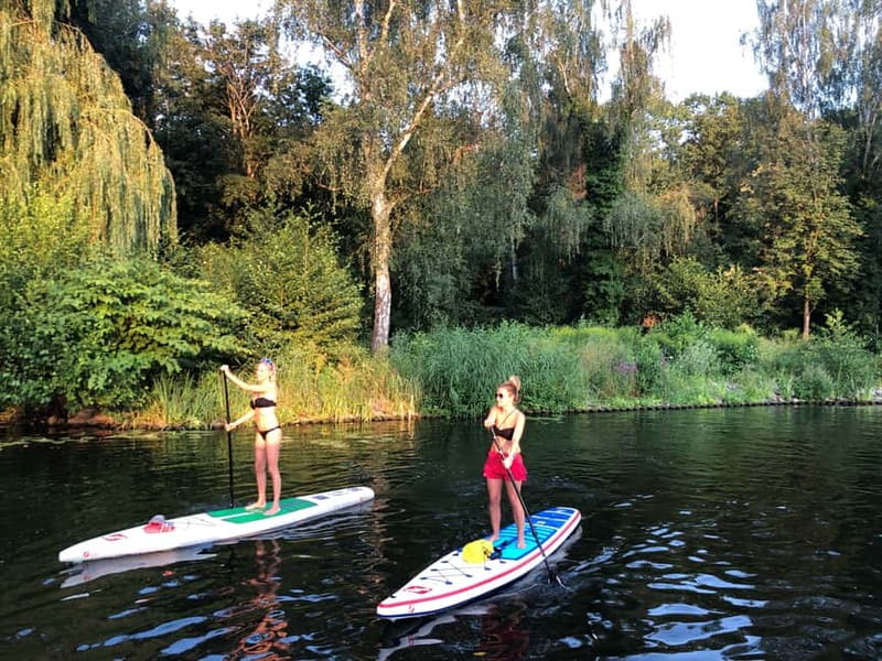 Leipzig: Cospudener Lake Stand-Up Paddleboard Course - Learning paddle strokes and steering