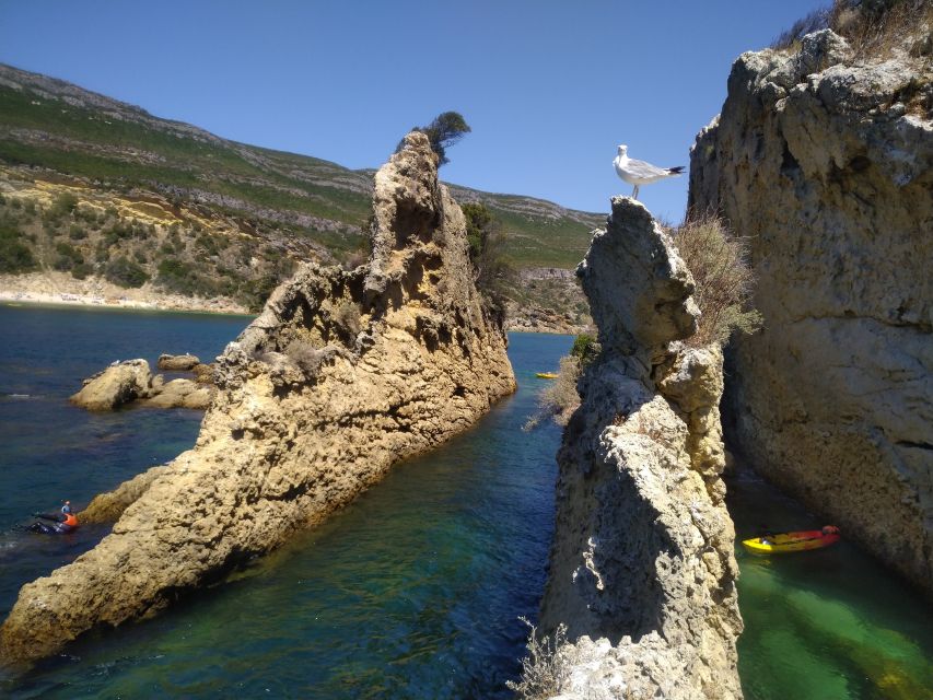 Lisbon: Arrábida Kayak and Coasteering Adventure Tour - GoPro photos and the value of a $147 day