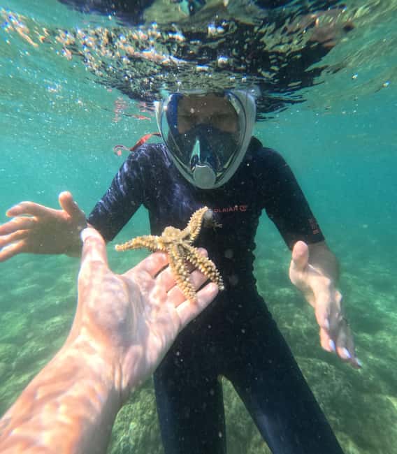 Lisbon: Arrábida Kayak & Wild Beach Snorkeling Pickup Option - What is included for $64