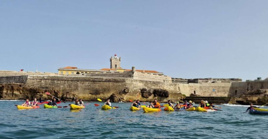 Lisbon: Coast Guided Kayak Tour - What the two-hour paddle actually includes