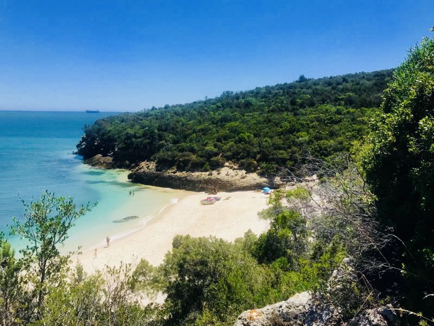Lisbon: Full-Day Arrabida Kayak Tour with Picnic - Key points to know before booking