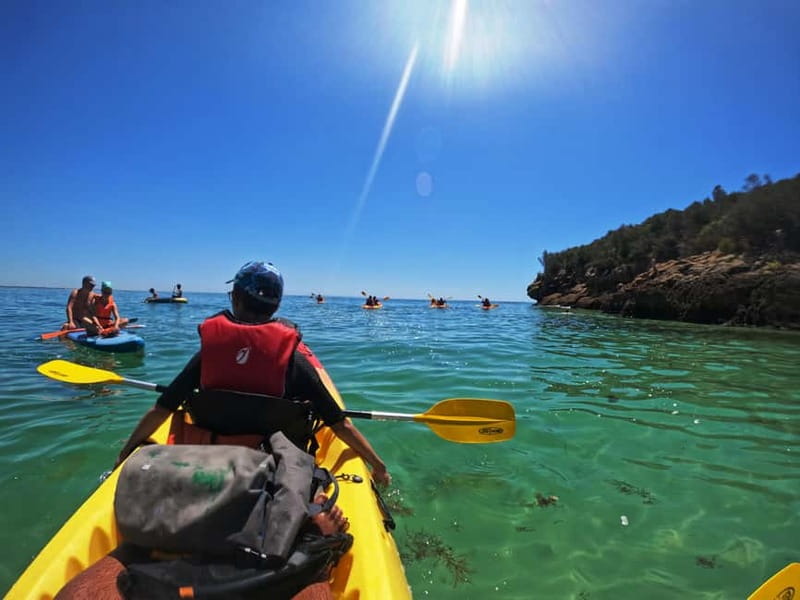 Lisbon: Kayaking & Snorkeling Tour with photos included - The first lesson gets you moving