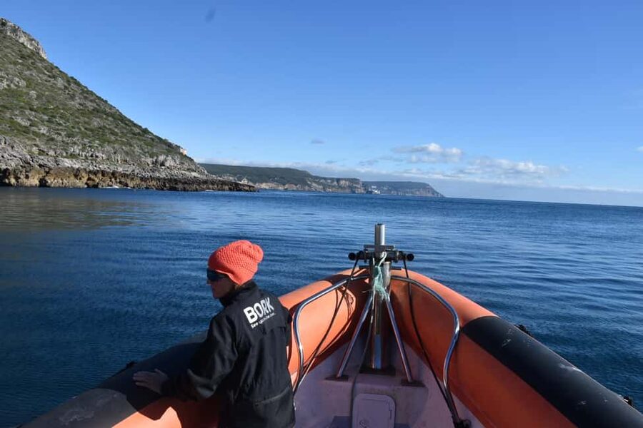 Lisbon: Sesimbra Kayak Discovery Experience - The return paddle and what the effort feels like
