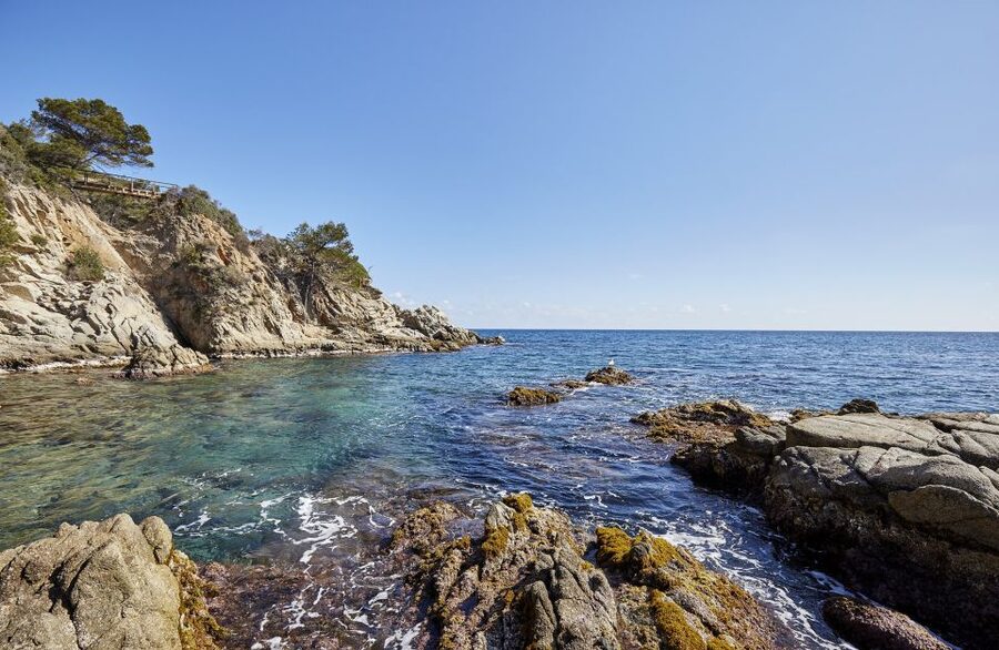 Lloret de Mar: Costa Brava Kayak Tour and Swimming - What the guides add to a simple paddle