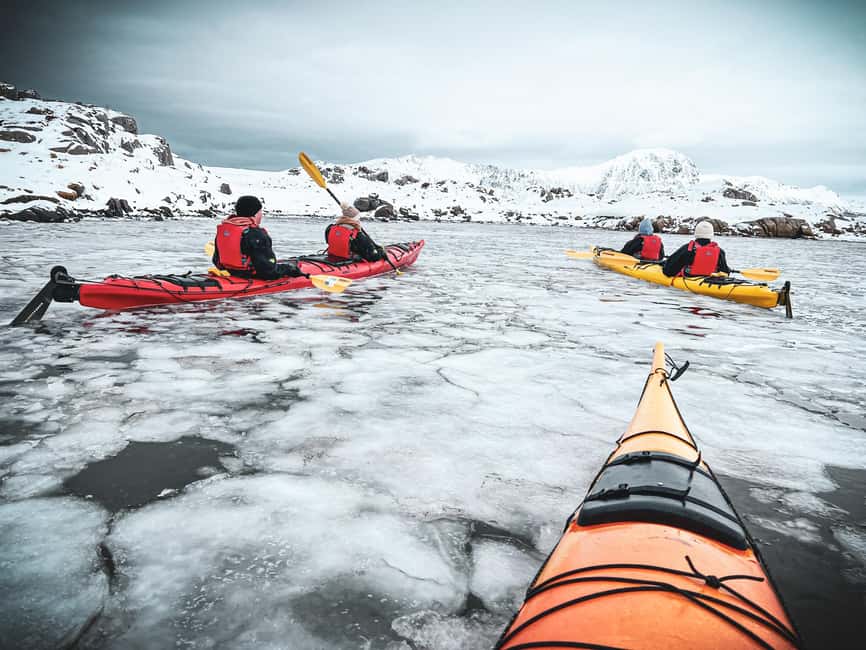 Lofoten: Half-Day Winter Kayak Adventure - Key points before you book
