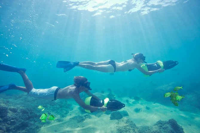 Los Cabos Power snorkel Adventure, Kayaking and Stand-Up Paddle - Wildlife sightings are a bonus, not a promise