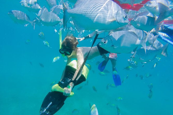Los Cabos Power snorkel Adventure, Kayaking and Stand-Up Paddle - The included food is a useful snack