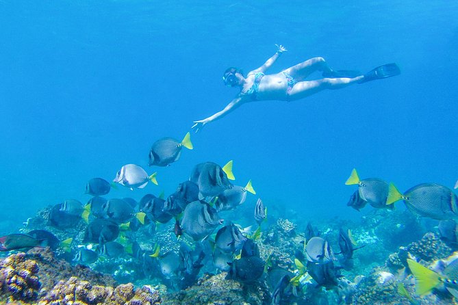 Los Cabos Power snorkel Adventure, Kayaking and Stand-Up Paddle - Who will enjoy this outing most