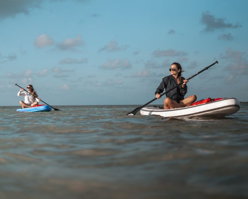 Los Cristianos : 1 Hour of Paddle surf Rental - How the rental feels for families and beginners