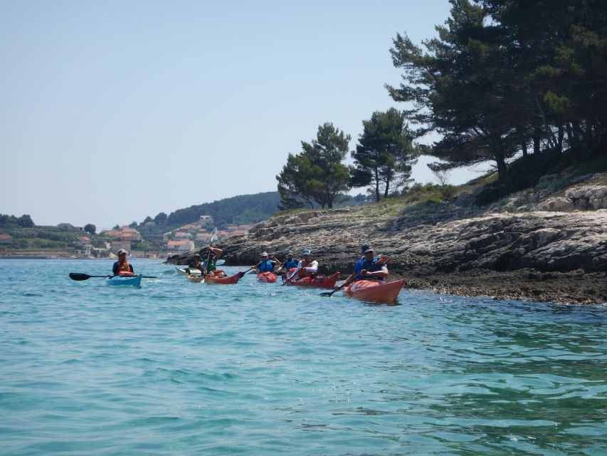 Lumbarda: Half-Day Kayaking and History with Wine delight - Is $81 a fair price?