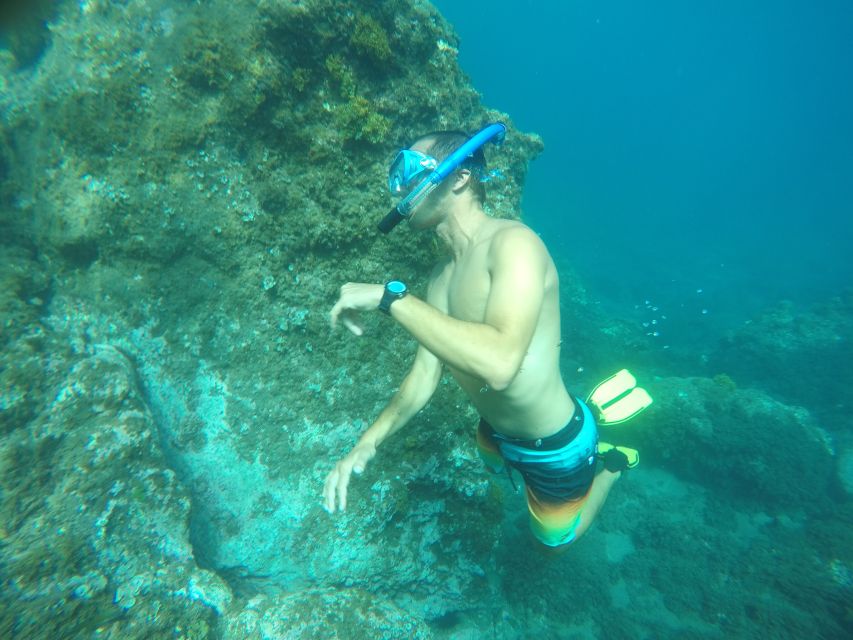 Madeira: Garajau Nature Reserve Kayak and Snorkel Tour - From Funchal harbor to the Garajau coast