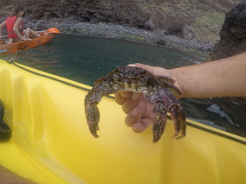 Madeira: Garajau Nature Reserve Kayak and Snorkel Tour - Booking details worth knowing