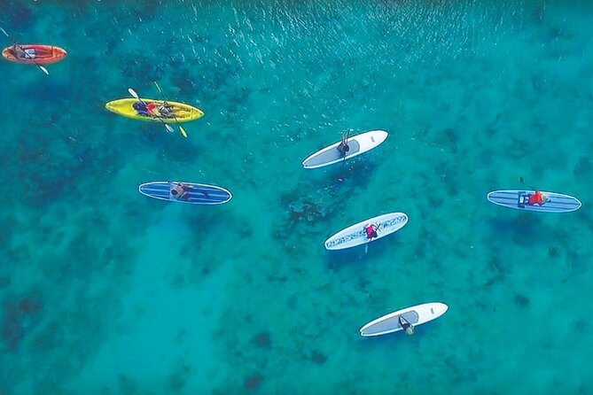 Magic Mangrove Paddle in Beef Island Lagoon - Why Beef Island Lagoon feels different from a beach outing
